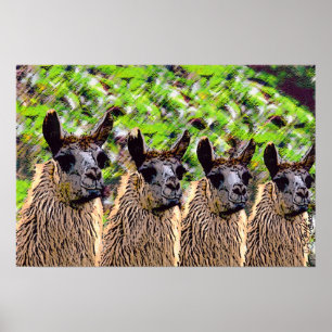 'Como se-llama? ', Poster