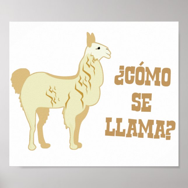 Como Se Llama? Vad heter du? Poster (Framsidan)