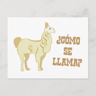Como Se Llama? Vad heter du? Vykort