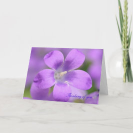 Companula. Att tänka på dig, kort