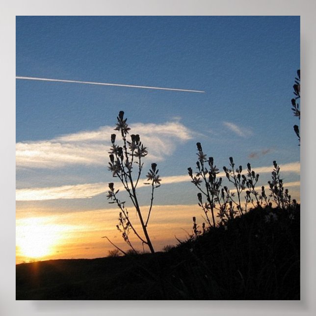 Competico - Ditt foto på en Poster (Framsidan)