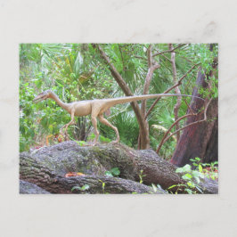 Compsognathus - Dinosaur - Inlärningskort Vykort