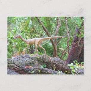 Compsognathus - Dinosaur - Inlärningskort Vykort