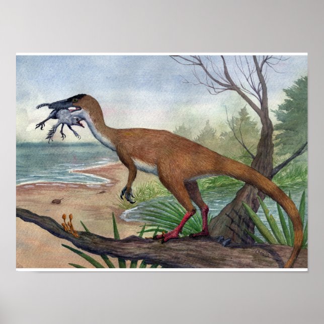 Compsognathus Skriv ut Poster (Framsidan)