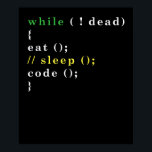 Computer Science Python Programmer Eat Code-vilolä Poster<br><div class="desc">Vet du vem som skulle ge kärlek den här garantin? Köp den som gåva. Perfekt som ska bäras på hackatoner,  på ett software- eller hemkontor.</div>