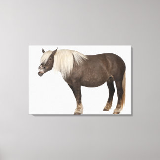 Comtois-hästen är ett utkast till häst - Equus cab Canvastryck