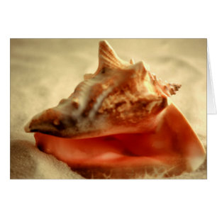 Conch Hälsningskort