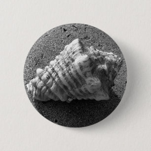 Conch Seashell Sand Beach Button Pendant Knapp