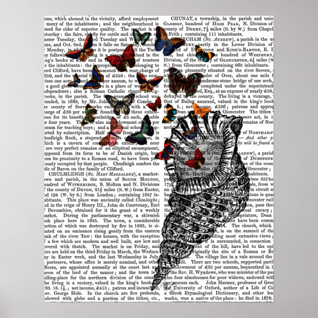 Conch Snäcka and Butterflies Poster (Framsidan)