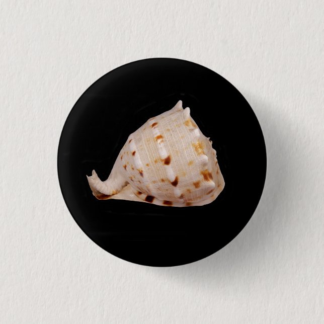 Conch Snäcka Badge Knapp (Framsida)