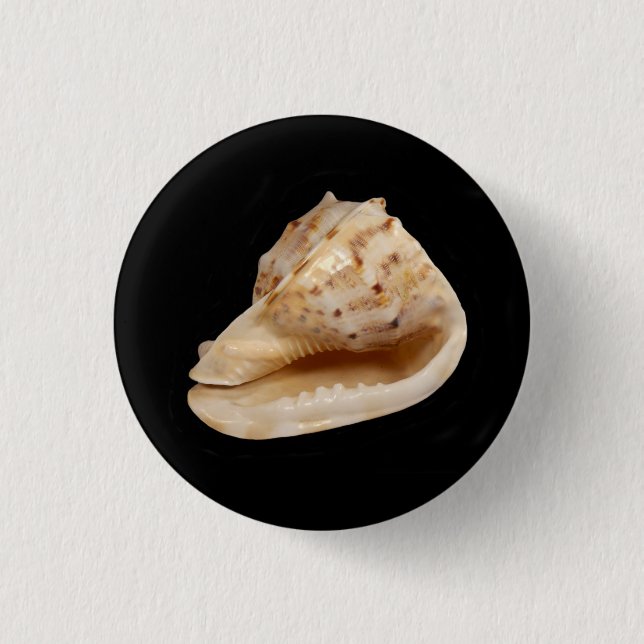 Conch Snäcka Badge Knapp (Framsida)
