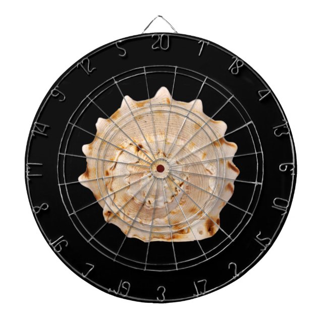 Conch Snäcka Dart Board Piltavla (Framsidan)