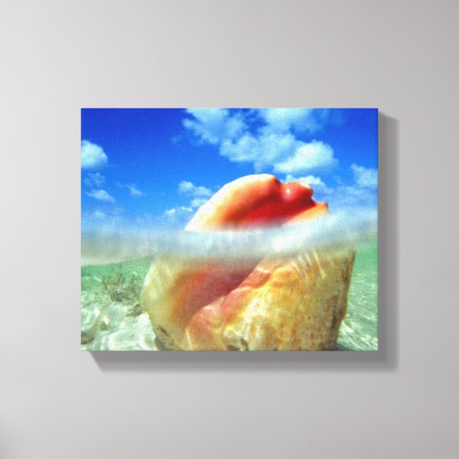 Conch Snäcka High Tide Canvas (Framsida)