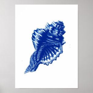 Conch Snäcka, Indigo Blue and White Poster