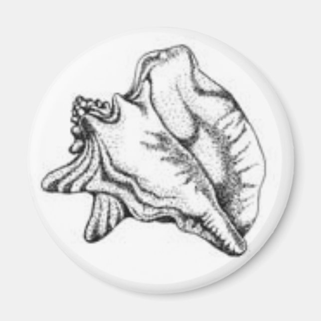 Conch Snäcka magnet (Framsidan)