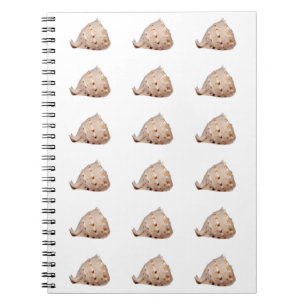Conch Snäcka Photo Notebook Anteckningsbok
