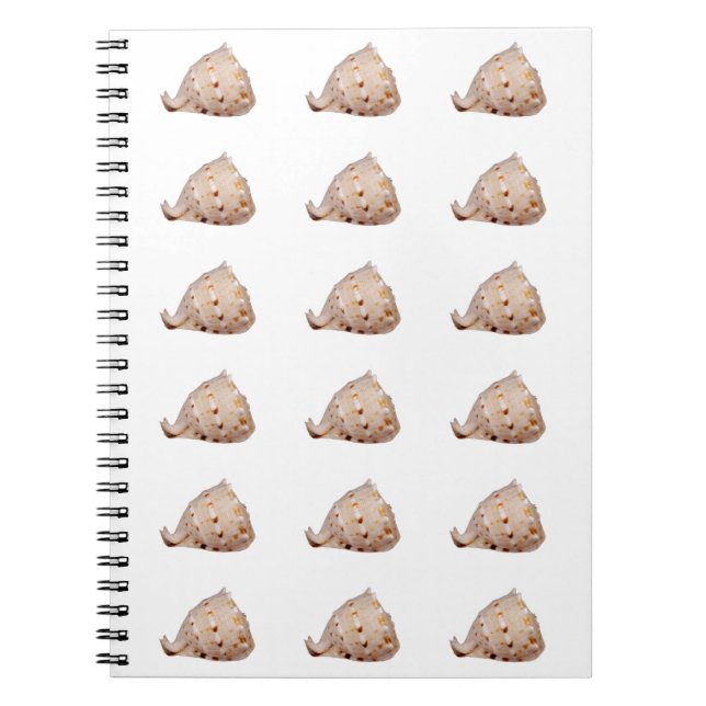 Conch Snäcka Photo Notebook Anteckningsbok (Framsidan)