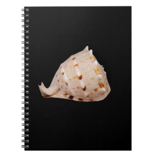 Conch Snäcka Photo Notebook Anteckningsbok Med Spiral