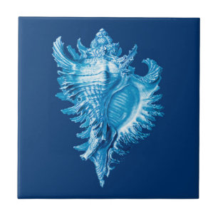 Conch Snäcka Sea Life Print, Indigo Blue och Whit Kakelplatta