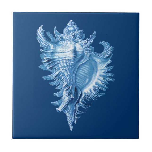 Conch Snäcka Sea Life Print, Indigo Blue och White Kakelplatta (Framsidan)