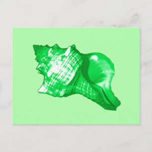 Conch snäcka sketch - emerald and lime green vykort