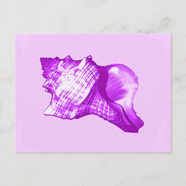 Conch snäcka sketch - violett, vit och lavender vykort (Framsida)
