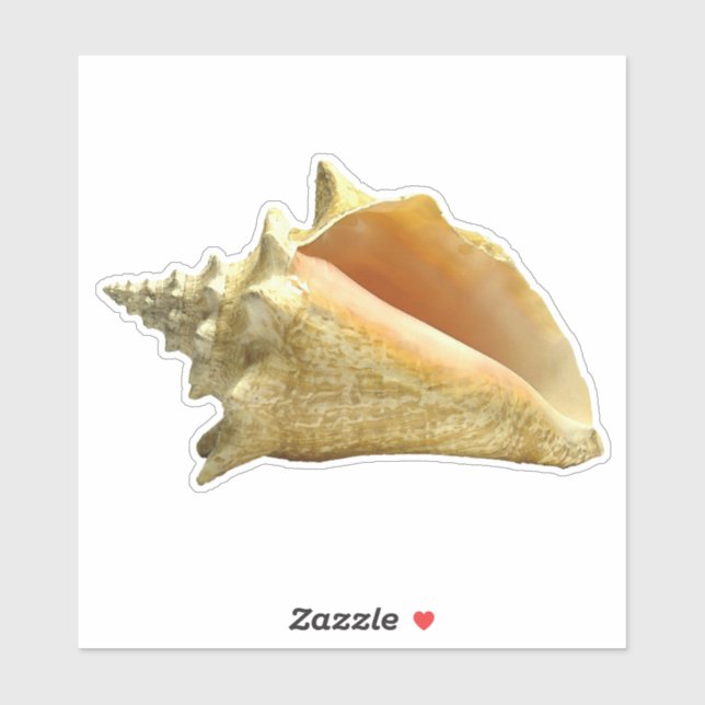 Conch Snäcka Sticker Klistermärken (Ark)