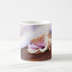 Conch-Snäckan vid Beach Mugg