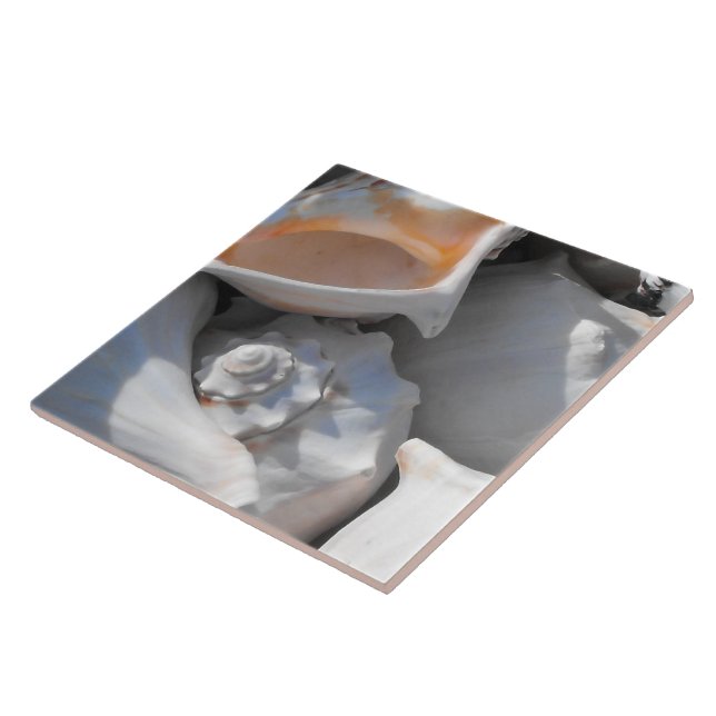 Conch Snäckors Closeup Kakelplatta (Sidan)