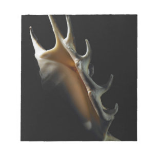 Conchsnäcka Anteckningsblock
