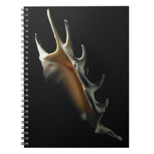 Conchsnäcka Anteckningsbok