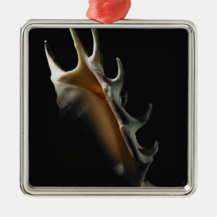 Conchsnäcka Julgransprydnad Metall