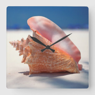 Conchsnäcka på strand 2 fyrkantig klocka