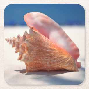 Conchsnäcka på strand 2 underlägg papper kvadrat