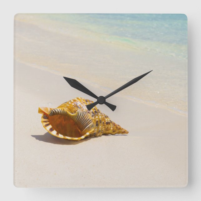 Conchsnäcka på strand 3 fyrkantig klocka (Framsida)