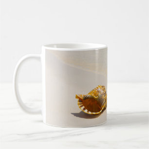 Conchsnäcka på strand 3 kaffemugg