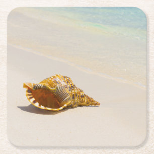 Conchsnäcka på strand 3 underlägg papper kvadrat