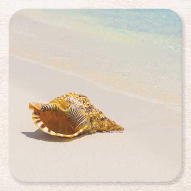 Conchsnäcka på strand 3 underlägg papper kvadrat (Framsidan)