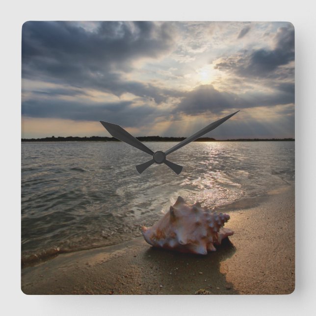Conchsnäcka på strand | St Augustine, Fl Fyrkantig Klocka (Framsida)