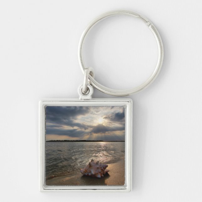 Conchsnäcka på strand | St Augustine, Fl Fyrkantig Silverfärgad Nyckelring (Framsidan)