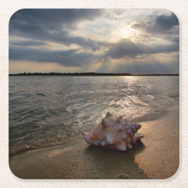 Conchsnäcka på strand | St Augustine, Fl Underlägg Papper Kvadrat (Framsidan)