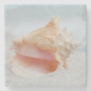 Conchsnäcka Stenunderlägg