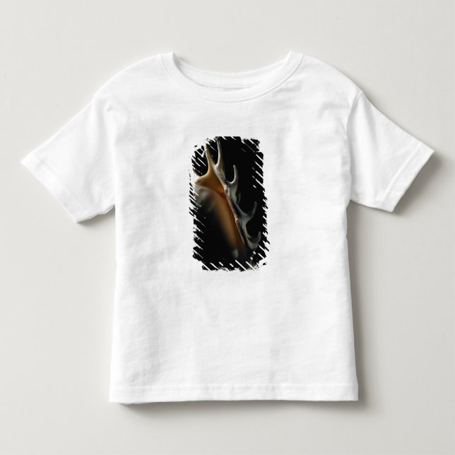 Conchsnäcka T-shirt (Framsida)