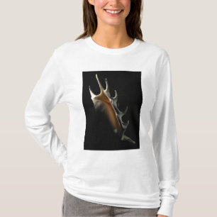 Conchsnäcka T-shirt