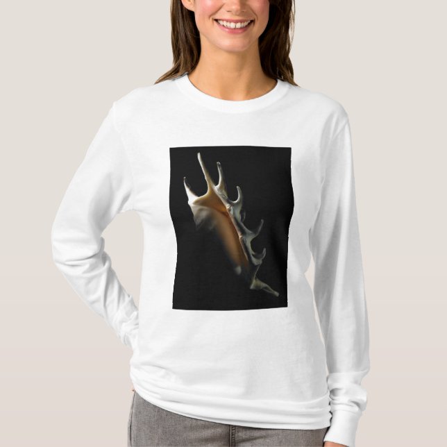 Conchsnäcka T-shirt (Framsida)