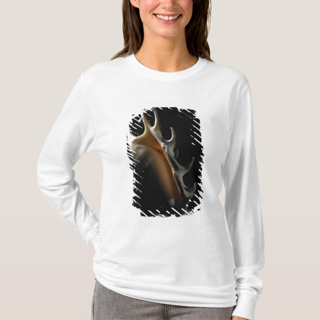 Conchsnäcka Tee (Framsida)