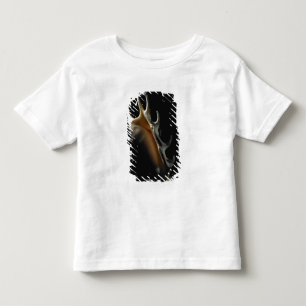 Conchsnäcka Tee