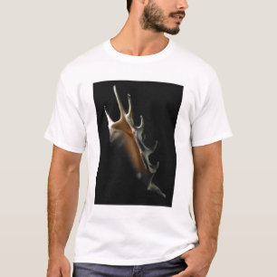 Conchsnäcka Tee Shirt