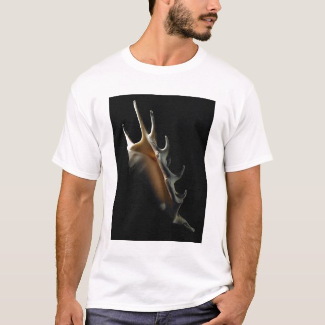Conchsnäcka Tee Shirt (Framsida)