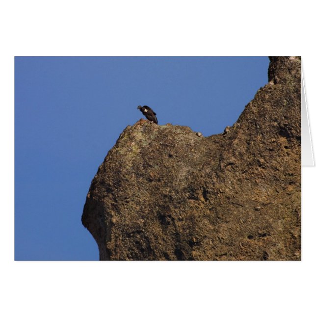 Condor #87 hälsningskort (Framsidan Horizontal)